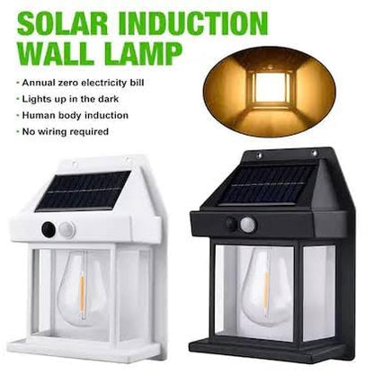 E+ Solar Interaction Wall Lamp
