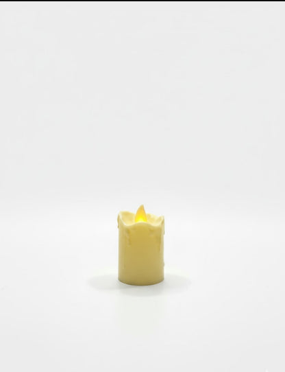 E+ LED Wax Candle Light (Pack of 24) – Realistic Flickering Flameless