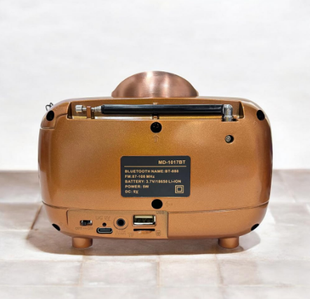E+ WIRLESS AUDIO SPEAKER