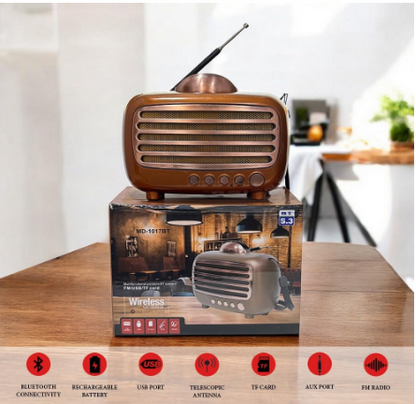 E+ WIRLESS AUDIO SPEAKER