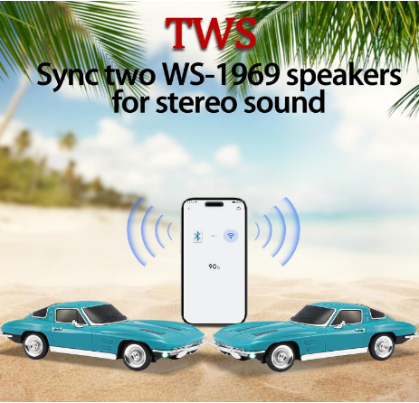 E+ WIRLESS CAR SPEKAER WS- 1969