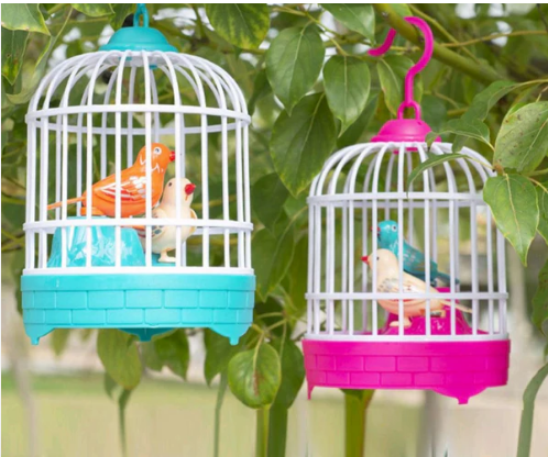 E+ TALKING BIRDS