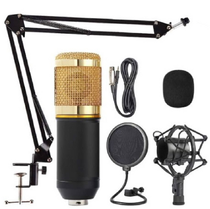 E+ PROFESSIONAL CONDENSER MICROPHONE