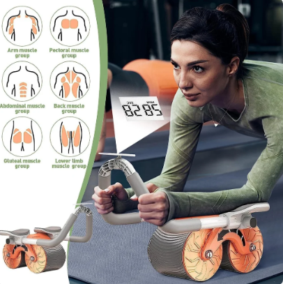 E+ EXERCISE BALANCE  WHEEL