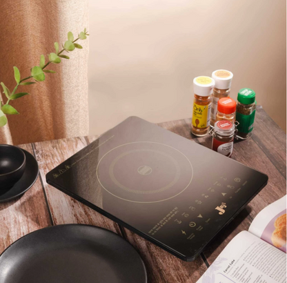E+ 2000 W Induction Cooktop Touch Panel (GAS)