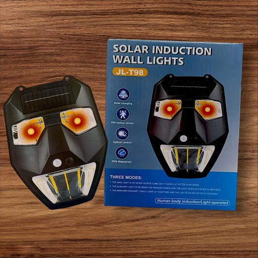 E+ SOLAR INDUCTION WALLLIGHTS